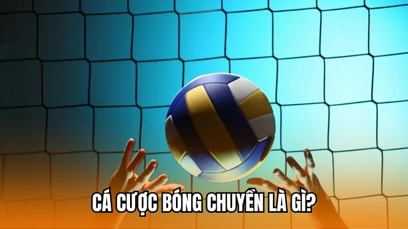 Tổng quan về cá cược bóng chuyền tại 188Bet