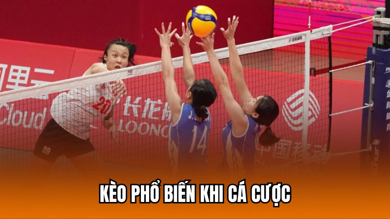 Các dạng kèo bóng chuyền phổ biến nhất hiện nay