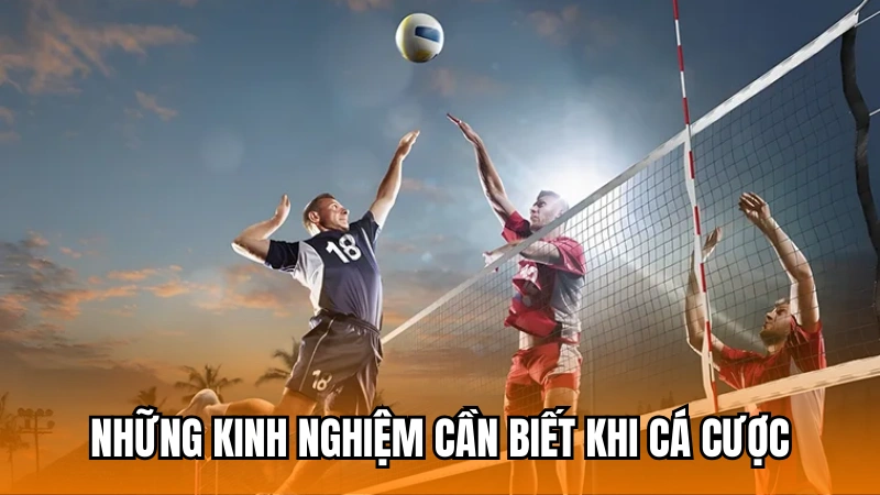 Những kinh nghiệm cá độ bóng chuyền hữu ích nhất