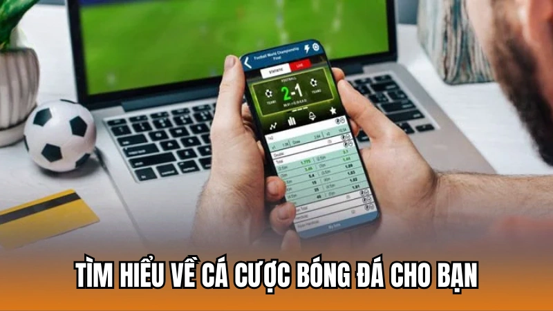Tìm hiểu về cá cược bóng đá trực tuyến