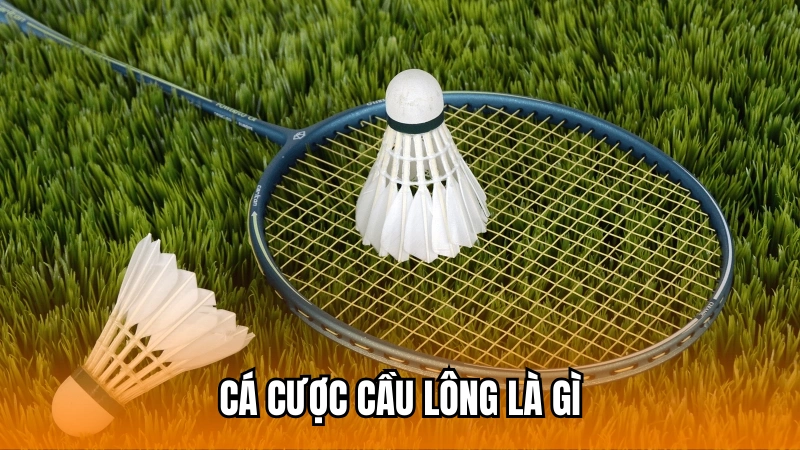 Sơ lược về bộ môn cá cược cầu lông tại 188Bet