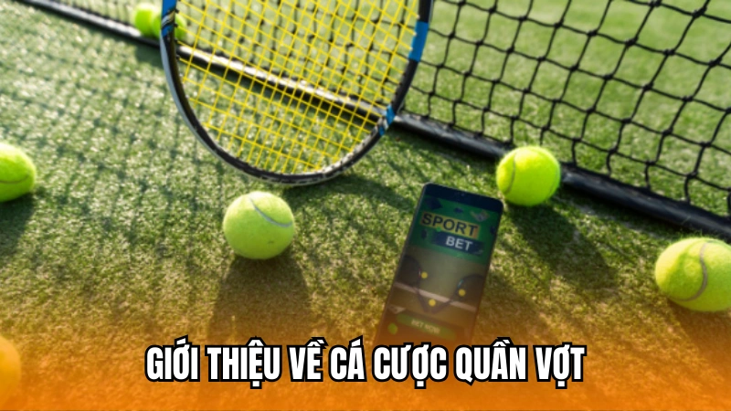 Giới thiệu về bộ môn cá cược quần vợt trực tuyến