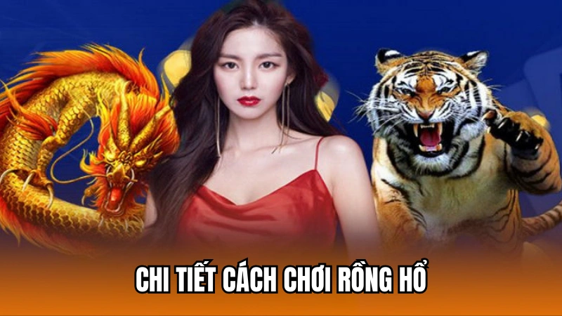 Chi tiết cách chơi đánh bài rồng hổ tại 188Bet