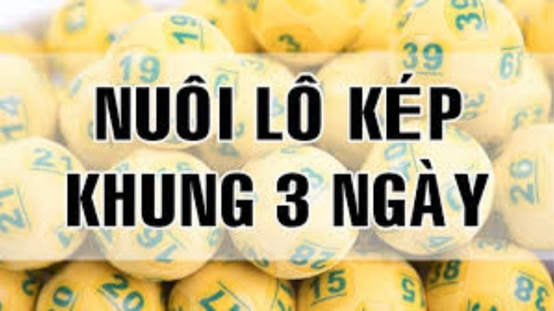Tìm hiểu về cách nuôi lô kép khung 3 ngày bất bại
